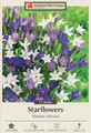 Starflower Mix - 15 Bulbs - 5/6 cm bulbs - Triteleia laxa