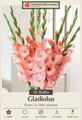 Pretty in Pink Mix Large Flowering Gladiolus - 10 Bulbs 12/14cm