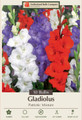 Patriotic Mix Large Flowering Gladiolus - 10 Bulbs 12/14cm