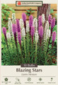 Gay Feather Mixture - Lavender & White - Liatris spicata - 10 Bulbs 10/12cm