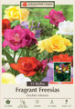 Double Mixed Freesia - 15 Bulbs - Indoors or Out - 6/+ cm Bulbs