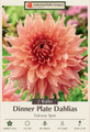 Fairway Spur Decorative Dinnerplate Dahlia - 2 Bulb Clumps
