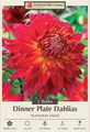 Manhattan Island Decorative Dahlia - 2 Bulb Clumps