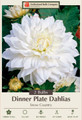 Snow Country Dinnerplate Dahlia - 2 Bulb Clumps