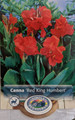 Red King Humbert Canna Rhizome - 2/3 eyes - Bronze Foliage