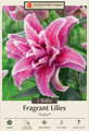 Thalita Double Oriental RoseLily - 2 Bulbs - Huge Double Blooms - Fragrant