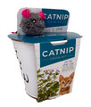 Catnip Grow Kit - Metal Planter, Growing Medium, GMO-Free Seeds and Mouse Toy