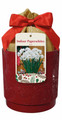 Ziva Paperwhite Growing Kit Red Ceramic Pot - 3 Bulbs/Pot/Planting Medium