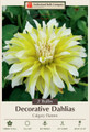 Calgary Flames Dahlia - 2 Bulb Clumps - Yellow and White