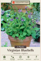Wildflower - Virginia Bluebells - 2 Bare Roots - Mertensia - Top size Roots