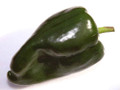 Ancho Poblano Pepper Plant 4" Pot - Most popular Chile