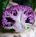 Purple Cauliflower Plant - 4" Pot - Color and Flavor