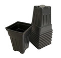 Black Plastic Nursery Pots - 10 Pack - 3.5" L x 2.5" W
