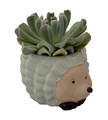 Forest Friends Owl and Hedgehog Ceramic Planters with Succulent Plants - 3" Pots
