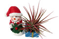 Ceramic Snowman with a Santa Hat Planter plus Live Air Plant - Tillandsia