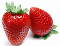 Eversweet Everbearing Strawberry 50 Bare Root Plants - Super Sweet
