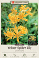 Yellow Spider Lily Bulb - Lycoris aurea - Surprise Lily - 10/12 cm - 1 Bulb