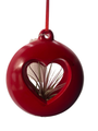 Hanging Red Heart Valentine Ceramic Pot with Live Air Plant - Tillandsia