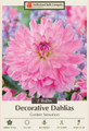 Garden Sensation Dahlia - Decorative Flower - 2 bulbs