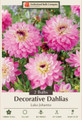 Luka Johanna Decorative Dahlia - 2 Bulbs