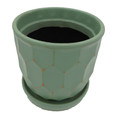 Distressed Honeycomb Pot with Attached Saucer - 5.5" x 5.5" - Sage