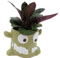 Snaggle Tooth Green  Halloween Planter with House Plant -4" Green Ceramic Pot