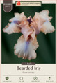 Concertina Bearded Iris - Rebloomer - Top Size Rhizome - 1 Bulb