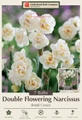 Bridal Crown Daffodil - Double Flowering Narcissus- 14/16cm Bulbs - 7 Bulbs