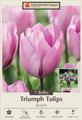 Jacuzzi Triumph Tulip - 7 Bulbs - 12/+ cm Bulbs - New