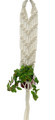 White Macrame Plant Hanger with 2" plant- 16-22" Length - Holds 2-3" Pot Size