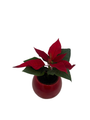 Red Globe Holiday Planter with Live Poinsettia Plant - 2" Pot