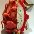 Dragon Fruit Plant - Hylocereus - Pitaya/Strawberry Pear - 4" Pot