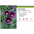 Spotlight Purple Rain Hollyhock - Perennial - Alcea Rosea - 3" Pot
