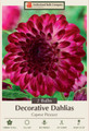 Caproz Pizzazz Dahlia - Decorative Dahlia - 2 Root Clumps
