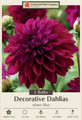 Mister Blue Decorative Dahlia - 2 Root Clumps - Violet-Claret Blooms
