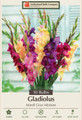 Mardi Gras Mixture - Large Flowering Gladiolus - 12/14 cm Bulbs -10 Bulbs