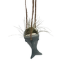 Chompin’ Charm Ceramic Shark Hanging Planter plus Live Air Plant - Tillandsia