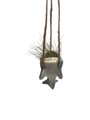 Chompin’ Charm Ceramic Shark Hanging Planter plus Live Air Plant - Tillandsia