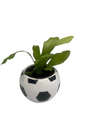 Soccer Ball Planter - 2.5" Ceramic Futbol Pot with Surprise Live Indoor Plant