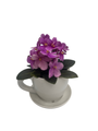 White Ceramic Teacup with Surprise Miniature African Violet - 2.5" Pot
