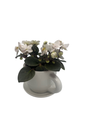 White Ceramic Teacup with Surprise Miniature African Violet - 2.5" Pot