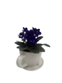 White Ceramic Teacup with Surprise Miniature African Violet - 2.5" Pot