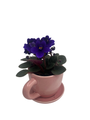 Pink Ceramic Teacup with Surprise Miniature African Violet - 2.5" Pot