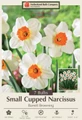 Barrett Browning Daffodil - Small Cupped Narcissus - 7 Bulbs - 14/16 cm