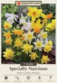 Rock Garden Daffodil Mix - Specialty Mixture - 7 Bulbs - 12/14 cm Bulbs