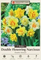 Double Flowering Narcissus - 7 Bulbs - Double Mixture  - 14/16 cm Bulbs