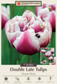 Ocean Drive Double Late Tulip - 7 Bulbs - 12/+ cm Bulbs