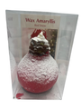 Red Snow Wax Amaryllis Bulb - Blooms Without Soil/Water
