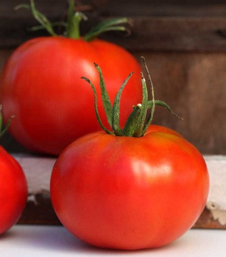 Marglobe Tomato 50 Seeds Heirloom Hirt's Gardens