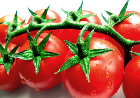 Calypso Tomato 20 Seeds High Yields Hirt's Gardens